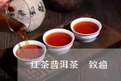 红茶普洱茶 致癌/2023041167348